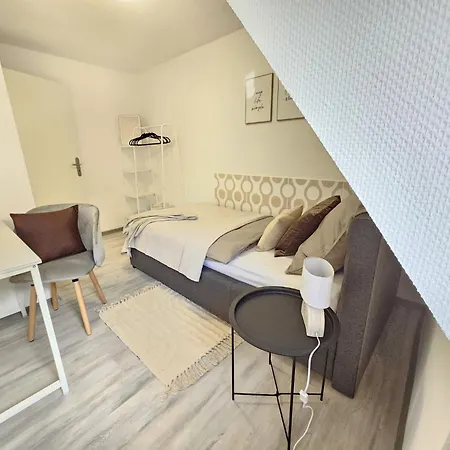 Am Stadtpark, 3 Schlafzimmer, Wozi Mit Bett Und Schalfsofa,businesswohnung, Monteurezimmer سالزجيتر